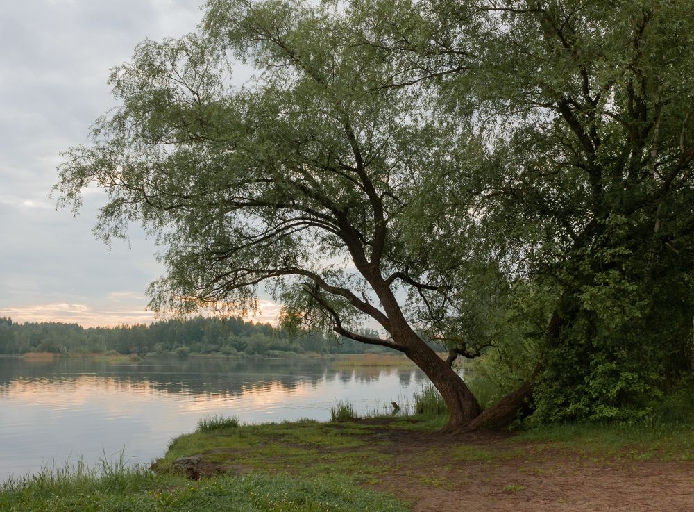 Фотография автора Ольга Бонина