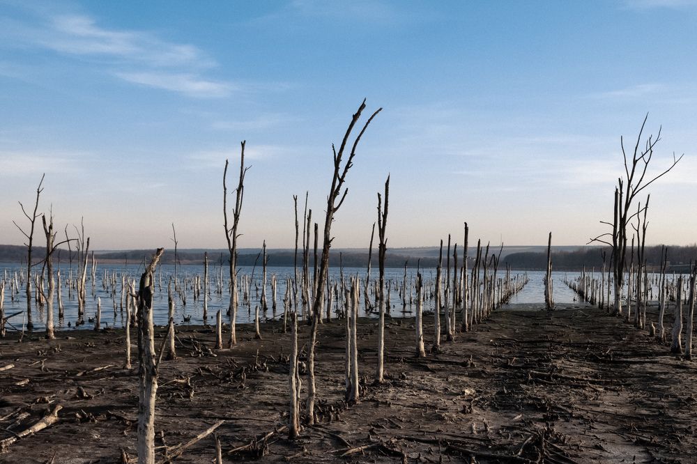 Photograph by Виктор Жулин