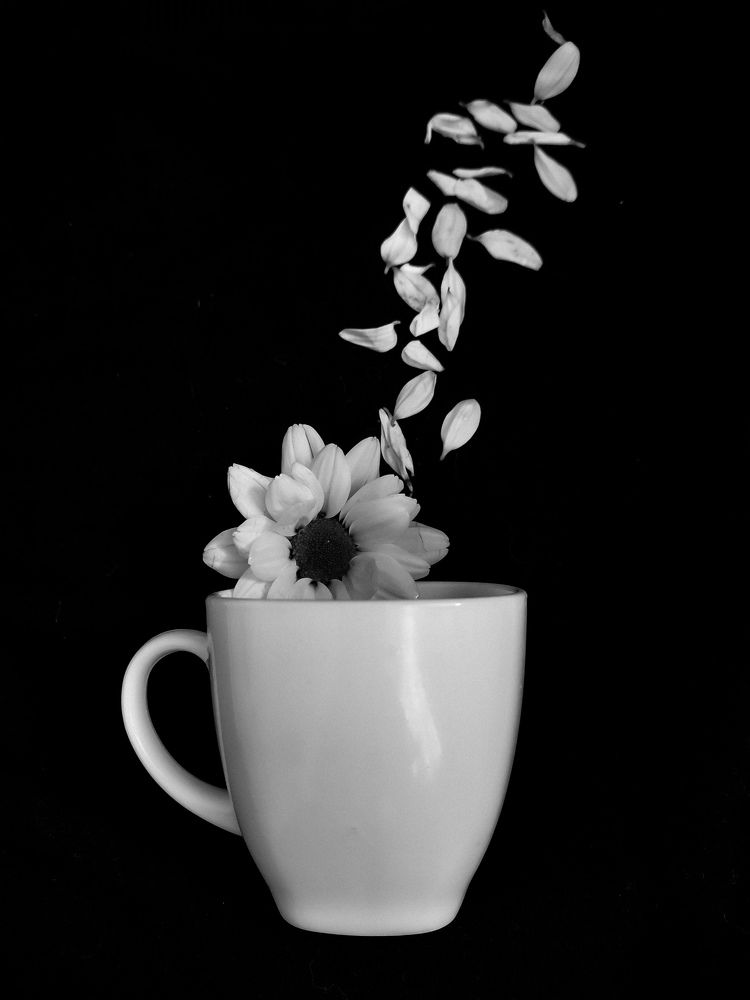 Photograph by Екатерина Савеня