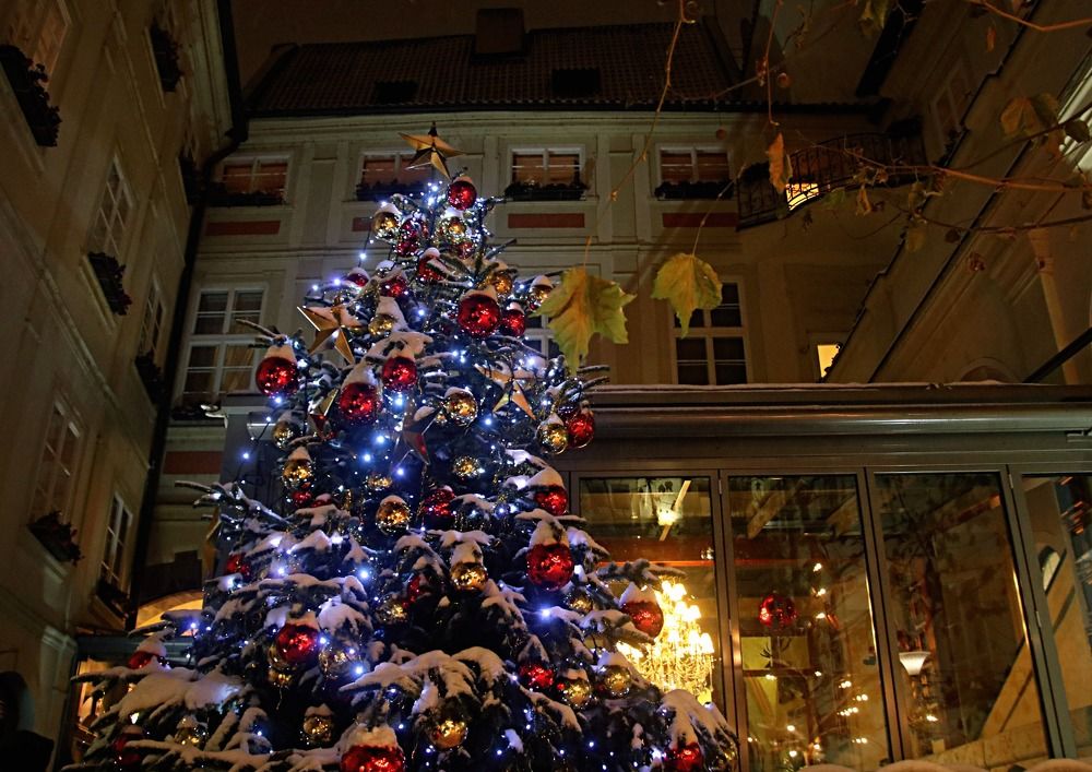 Photograph by Irina Radzinskaya