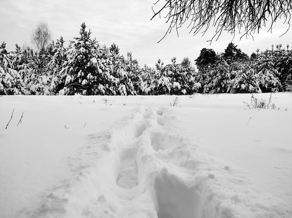 Photograph by Алексей Федулов