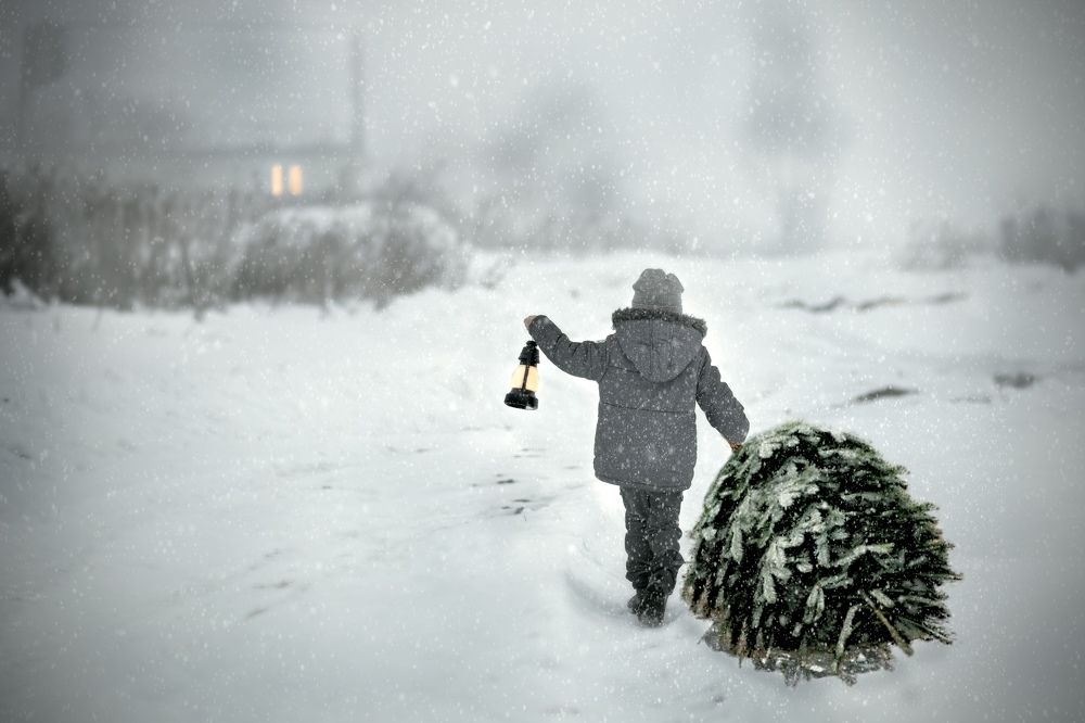 Photograph by Марина Левкович