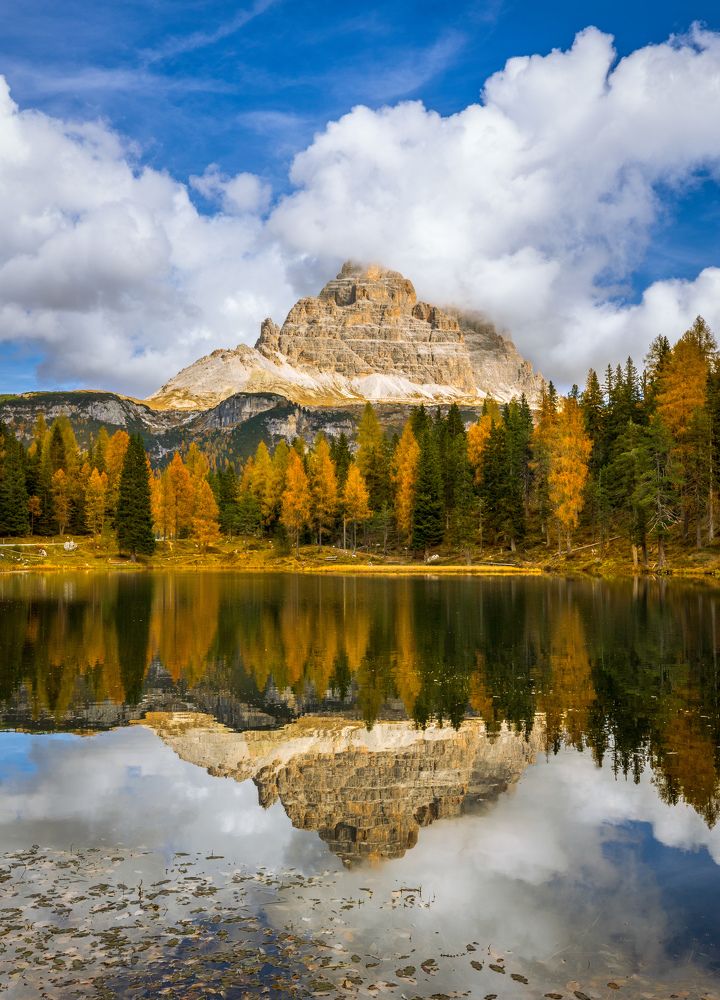 Фотография автора Ioana Crisan