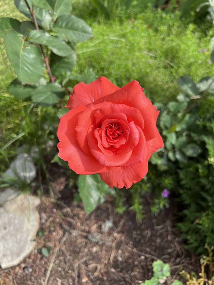 Фотография автора Алексан Арт