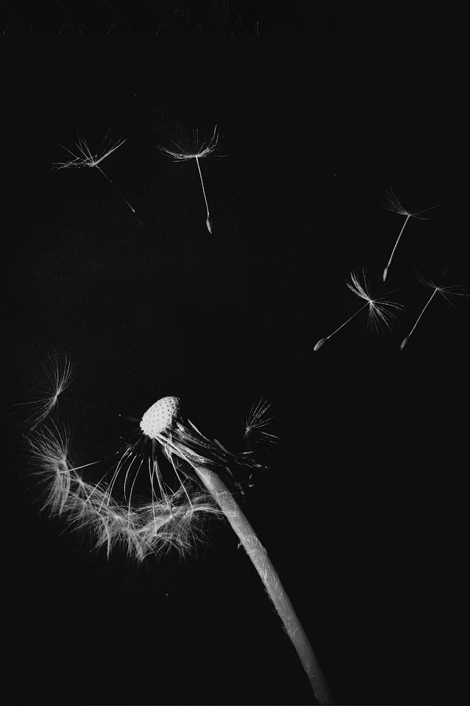 Photograph by Irina Timonina