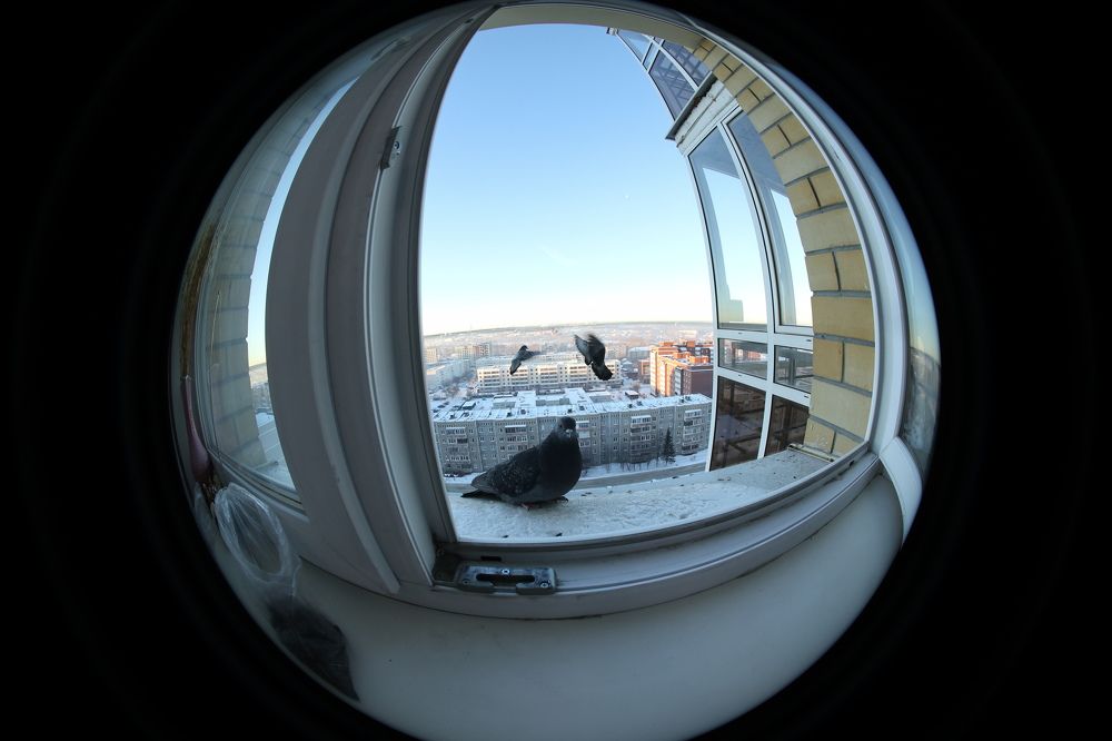 Photograph by Мария Глухова