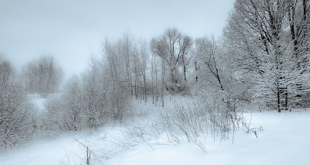 Фотография автора Алексей Звягинцев