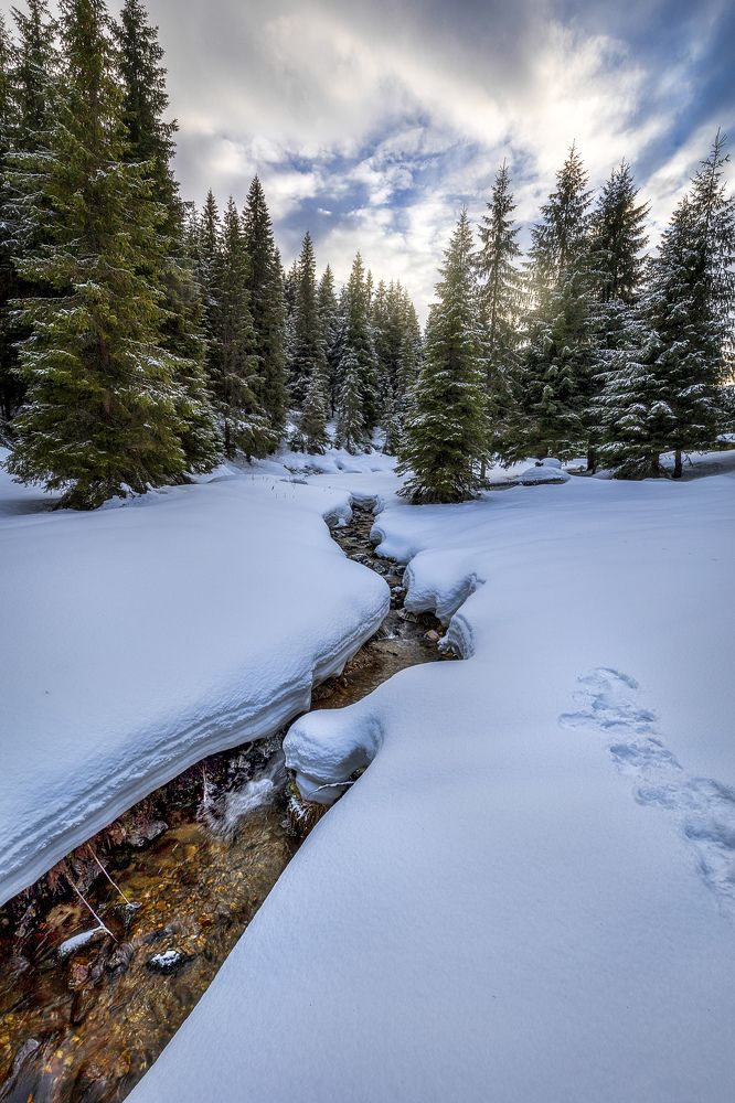 Фотография автора Ioana Crisan