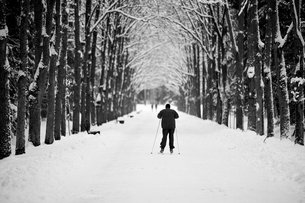 Photograph by Татьяна