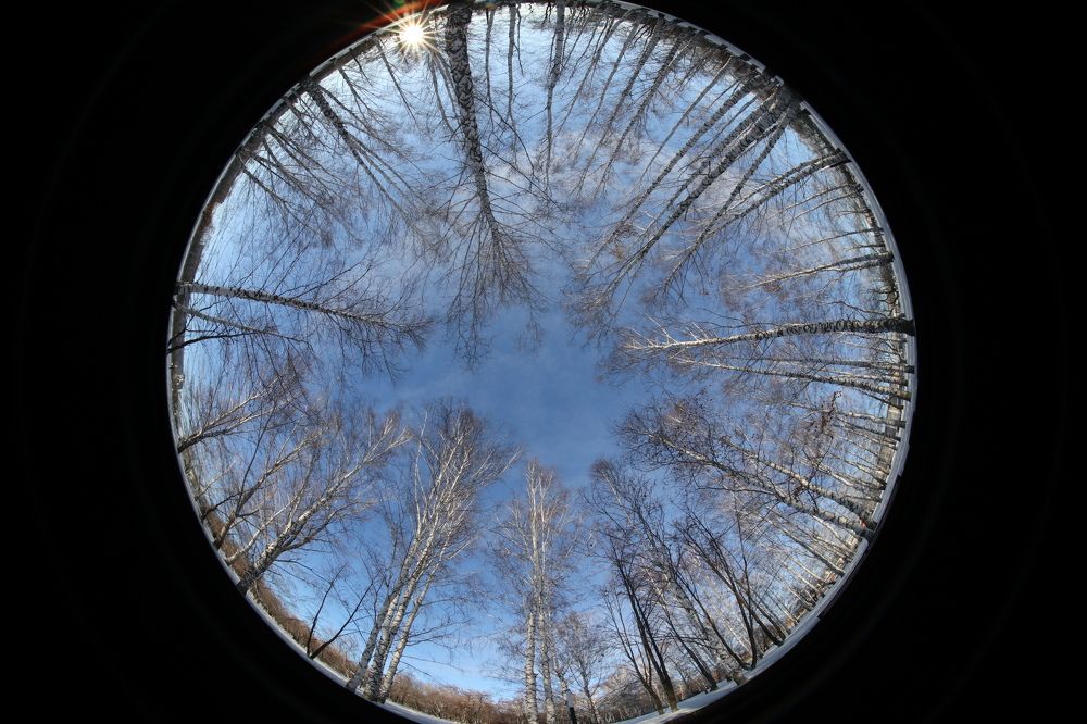 Photograph by Мария Глухова