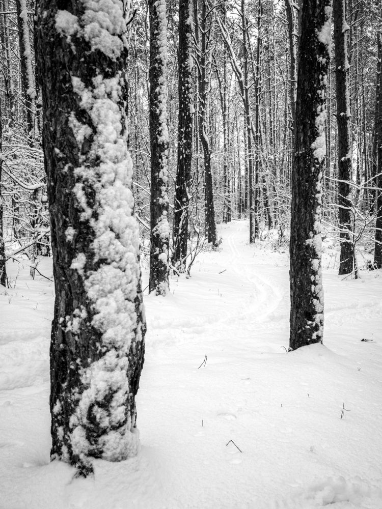 Photograph by Маргарита Ивкова