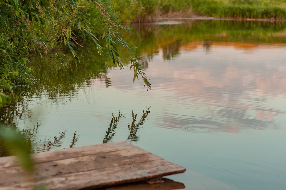 Photograph by Ольга Остапенко