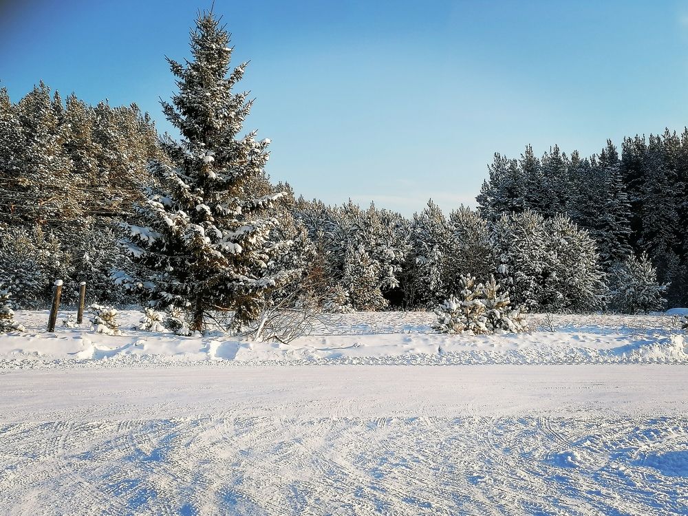 Photograph by Галина Карманова