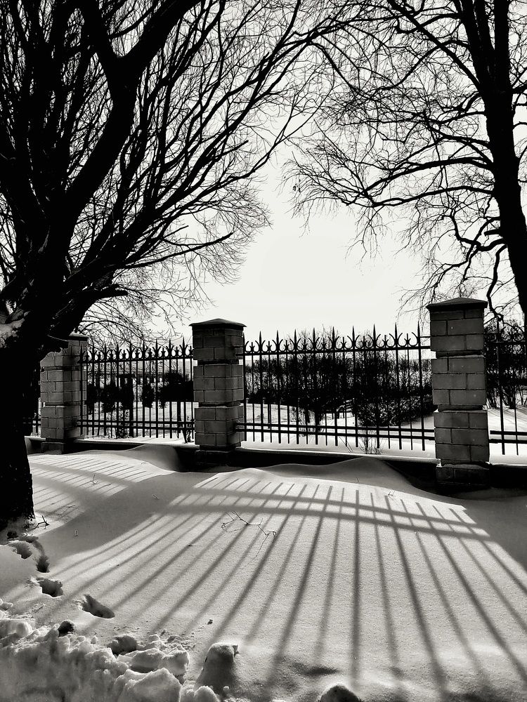 Photograph by Мария Тёмкина