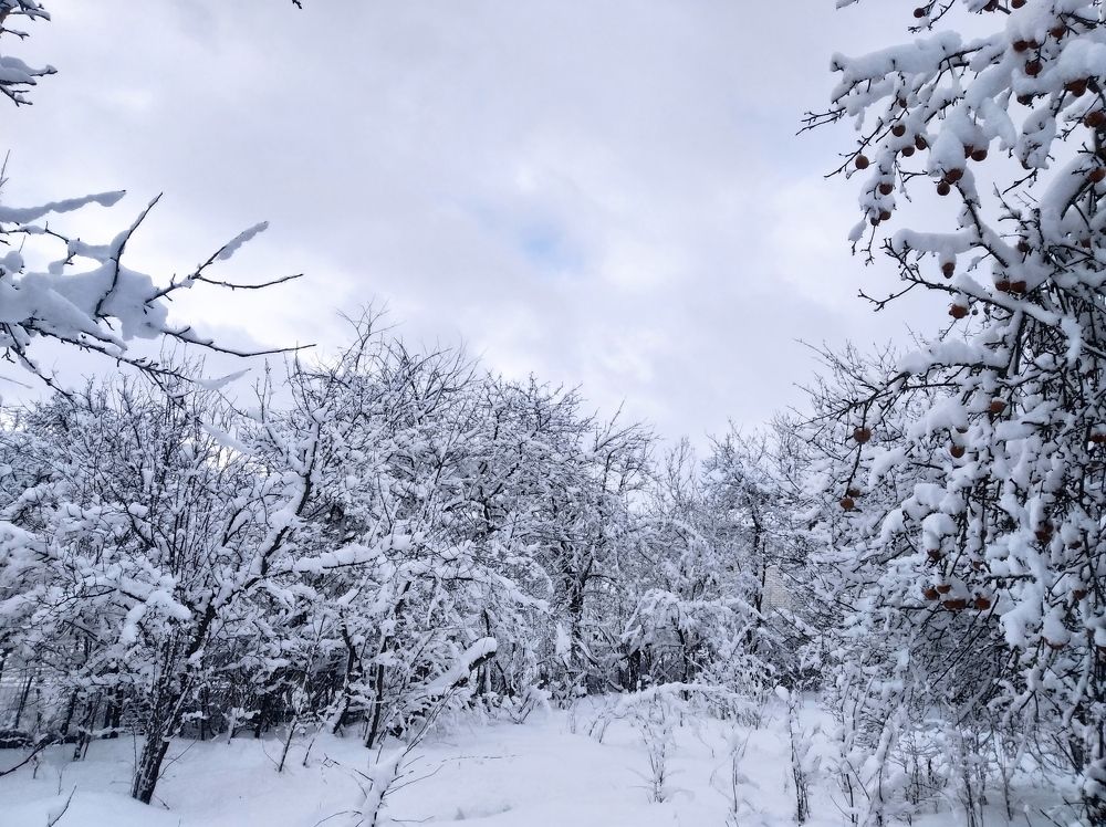 Photograph by Надежда Болтунова
