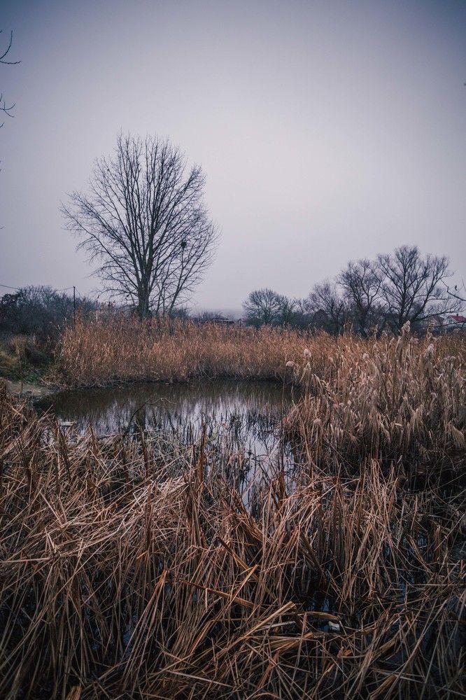 Photograph by Филипп Бабенко