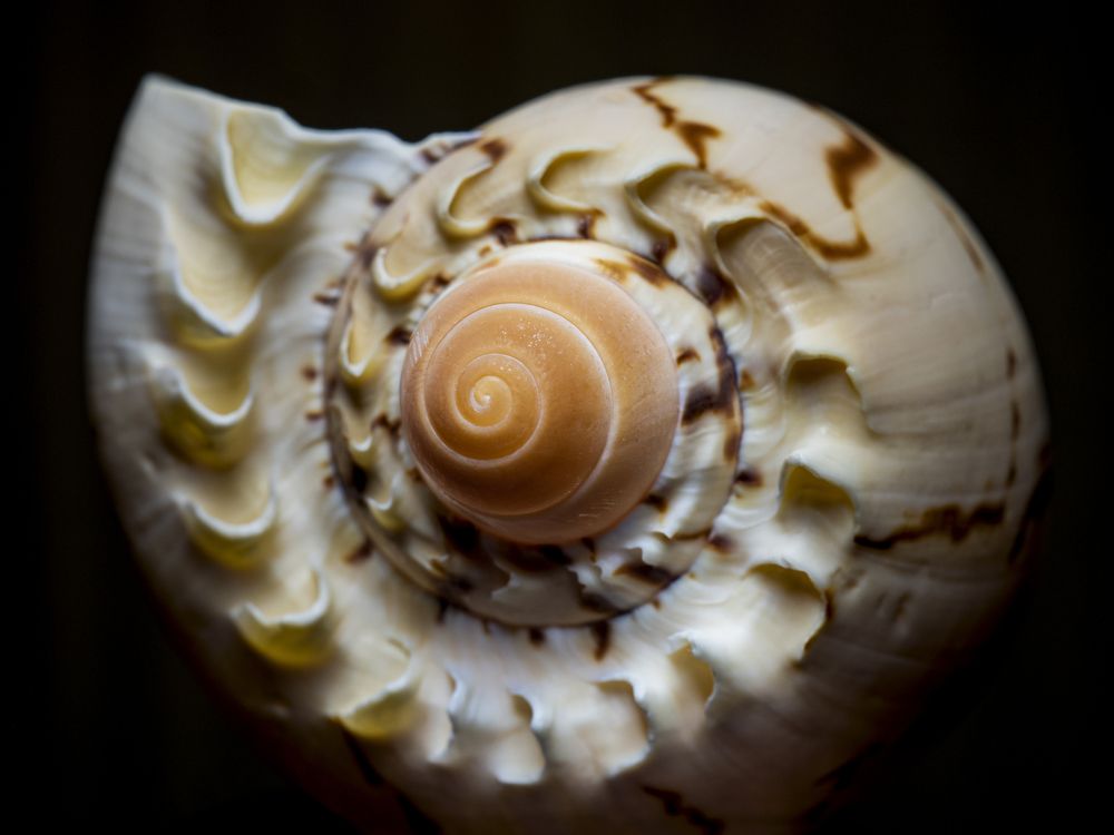 Photograph by Дмитрий Бутин