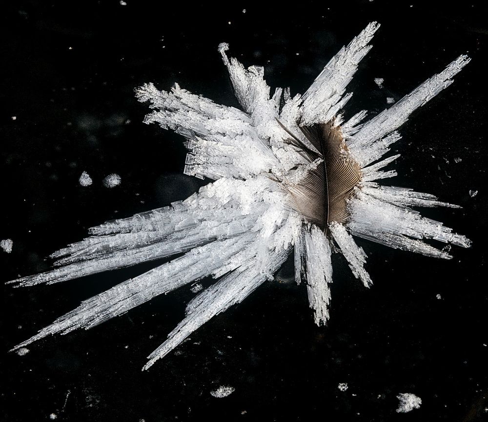 Photograph by Анатолий Веремеев