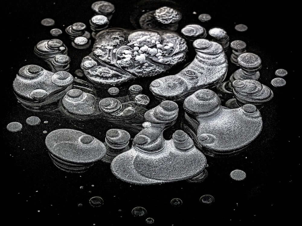 Photograph by Анатолий Веремеев