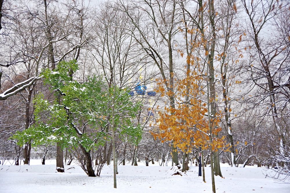 Photograph by Алексей Бородинов