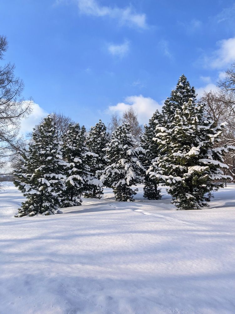 Photograph by Алексей Бородинов