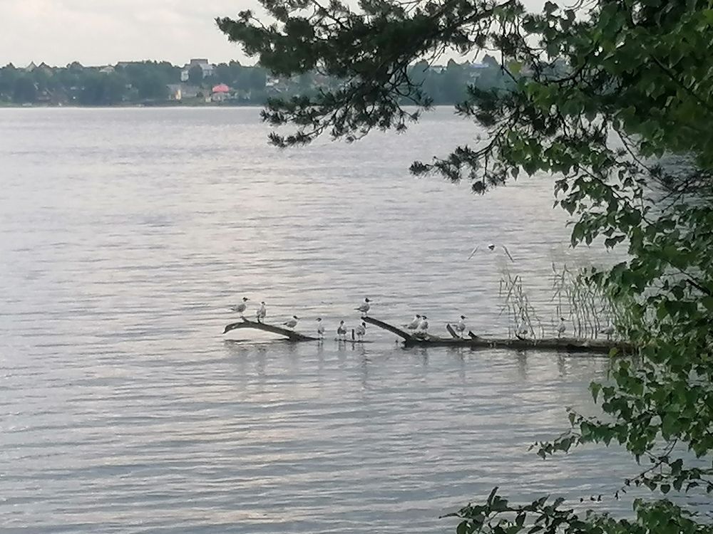 Photograph by Олег Россохин