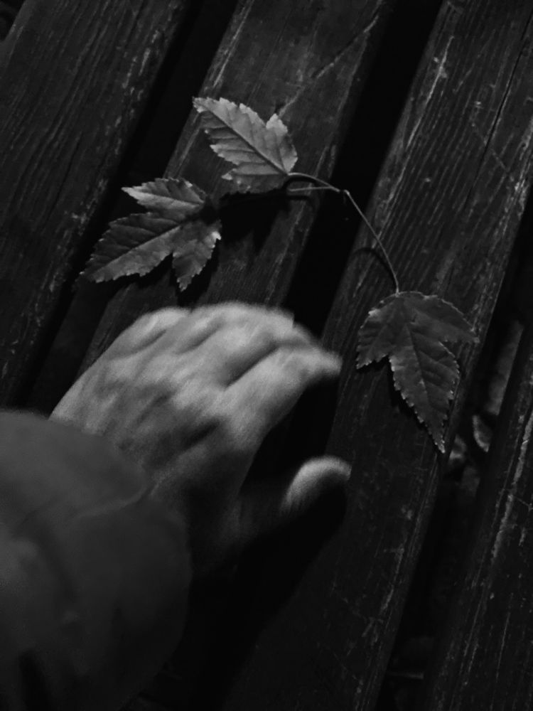 Photograph by Ирина Дубовцова