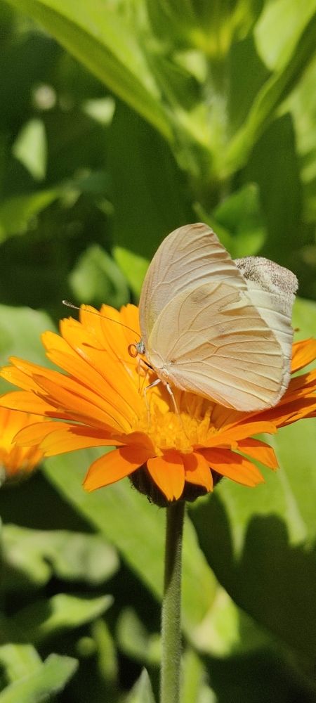 Photograph by Hajar Amir hajiloo