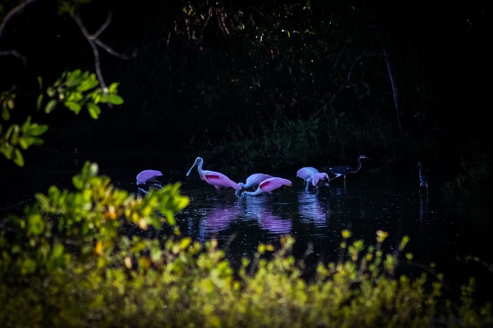 Photograph by Jesus Aguilar