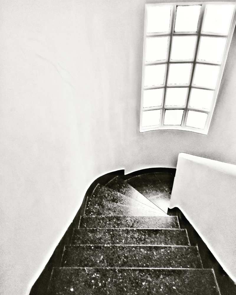 Photograph by Carlos Orozco Carlos Orozco bass