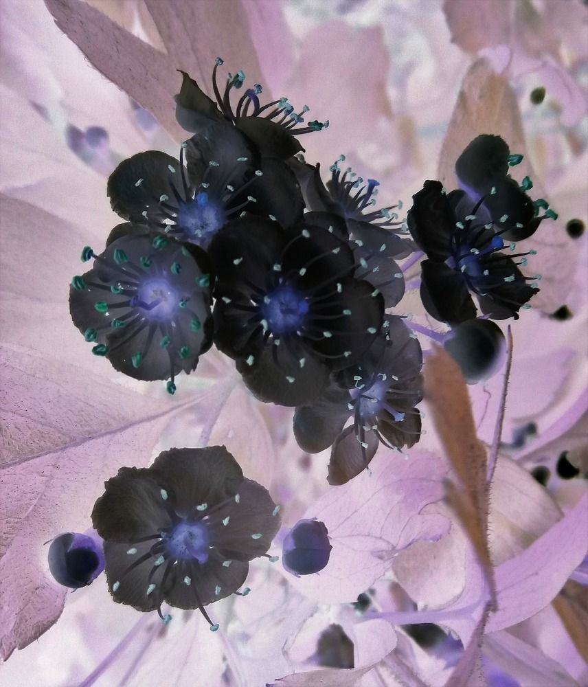 Photograph by Marina Eremin