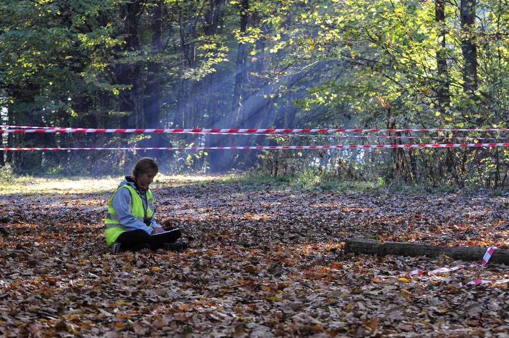 Photograph by Дерезюк Юрий Александрович