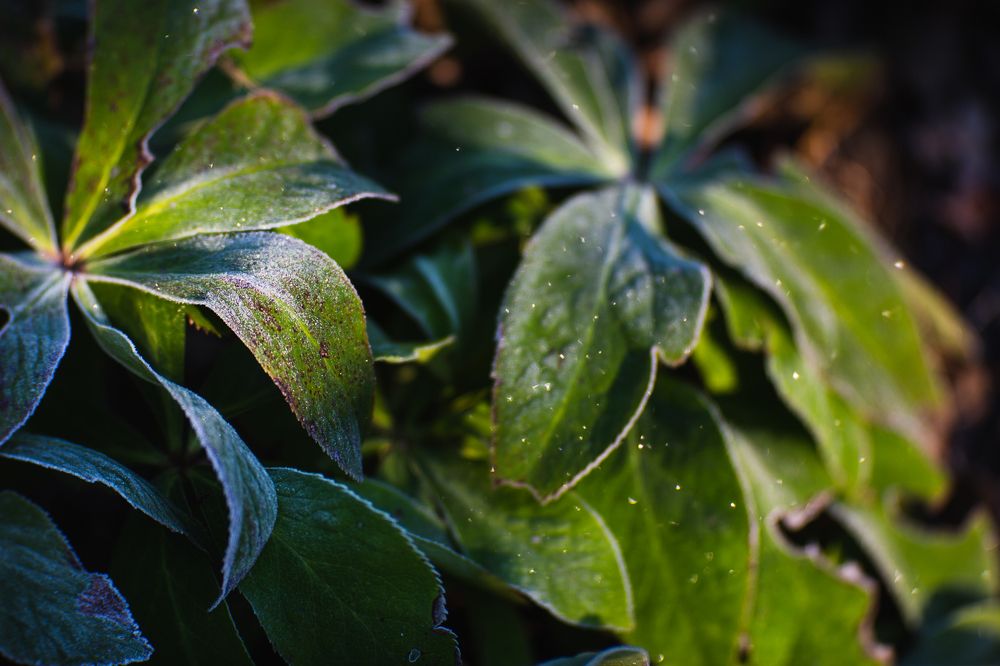 Photograph by Филипп Бабенко