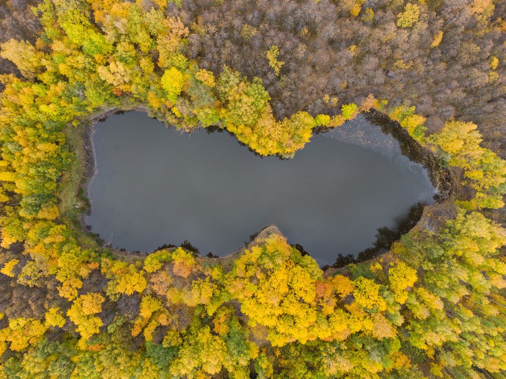 Photograph by Вячеслав