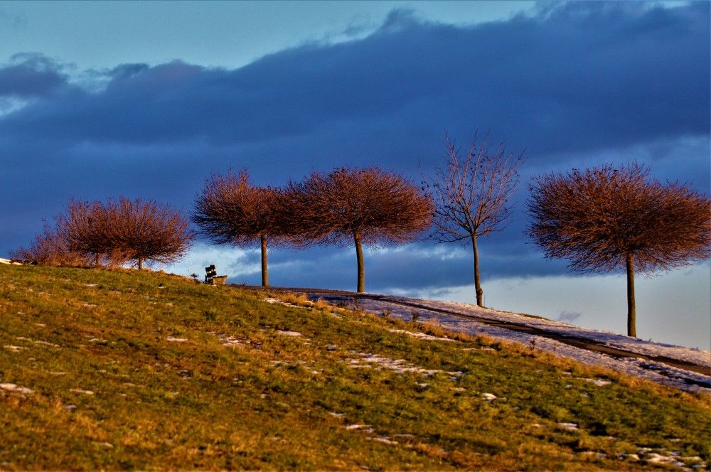 Transformations of the landscape