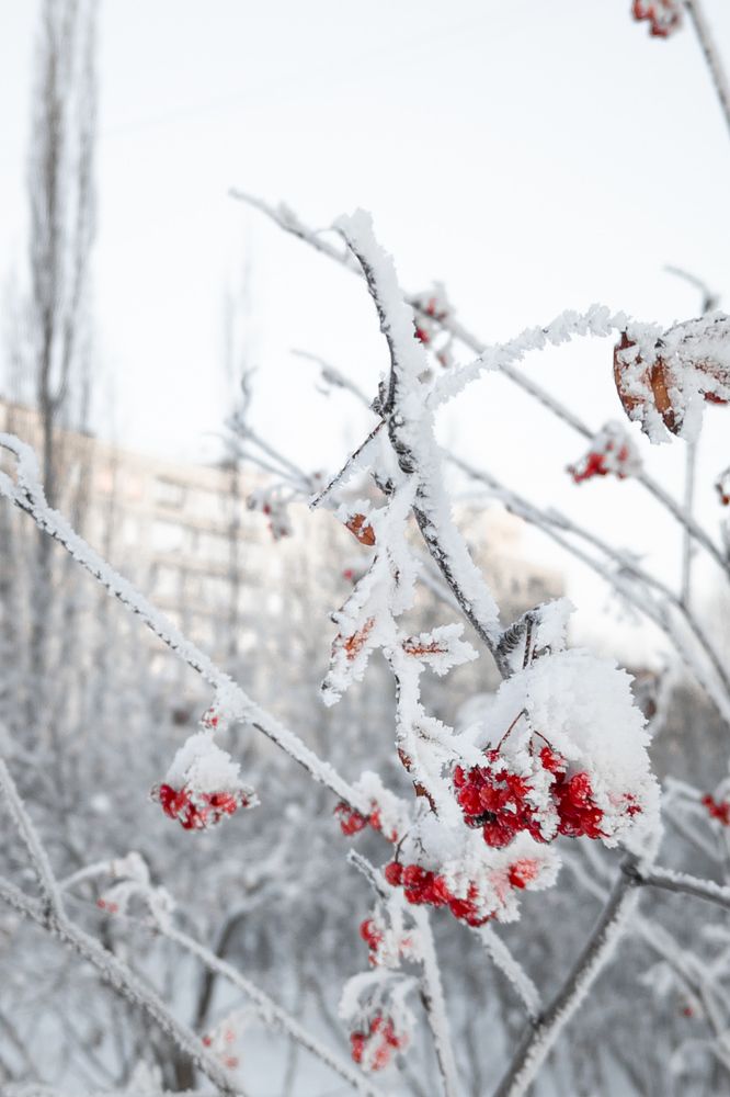 Photograph by Alexander Lonsdale