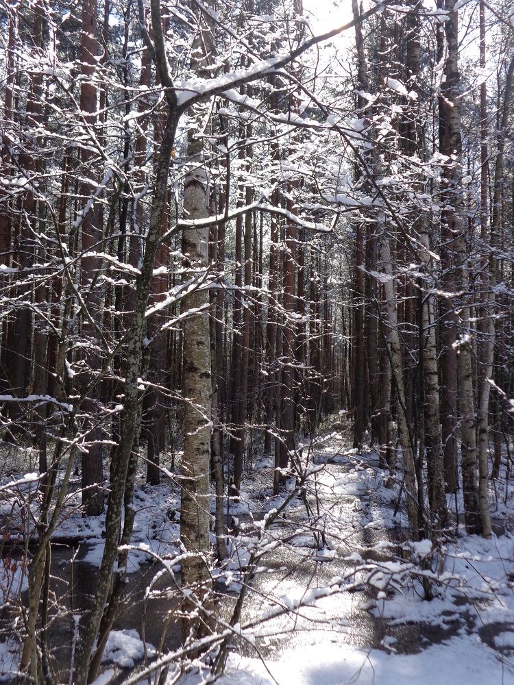 Photograph by Георгий Салюков