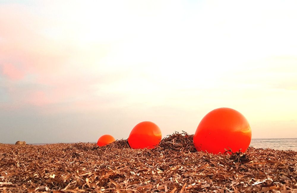 Марсоинкубаторы.