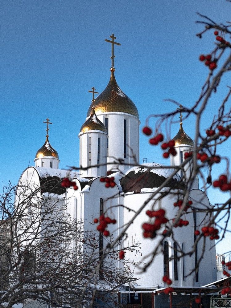 Photograph by Alexander Lonsdale