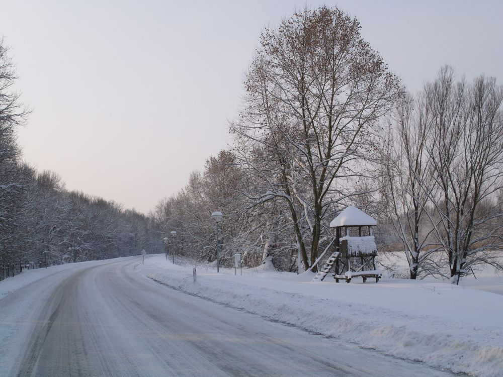 Фотография автора Dubravko Maricic