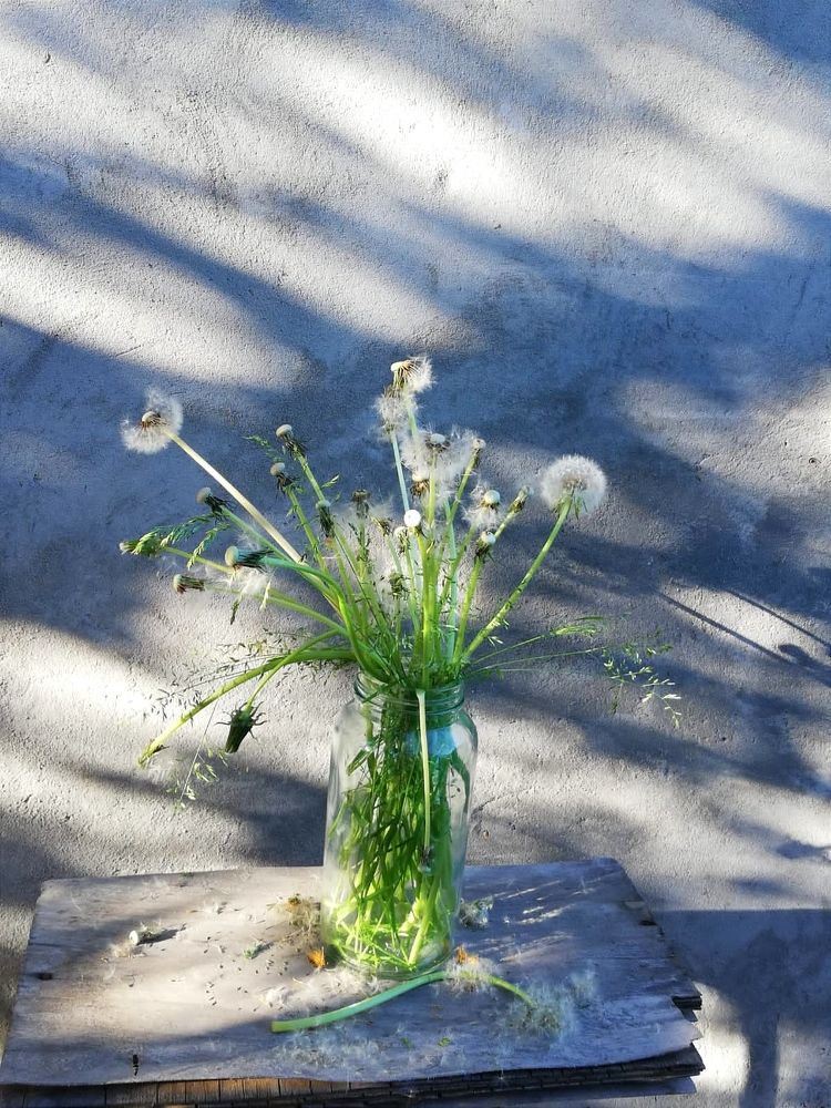 Photograph by Galina Novichkova