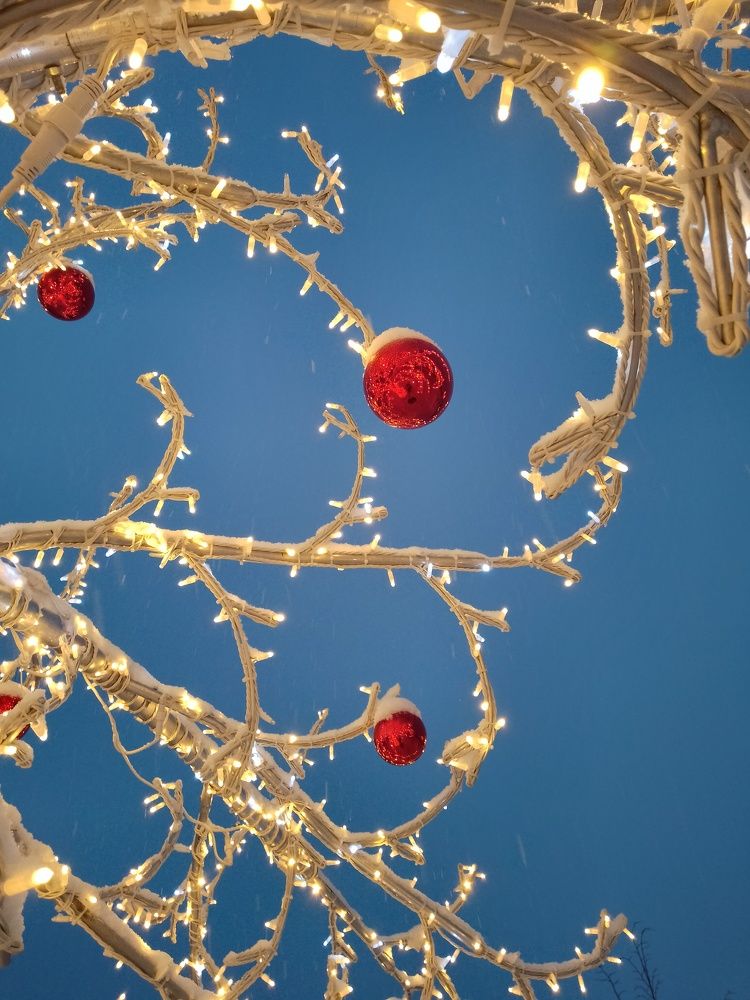 Photograph by Алена Скворцова