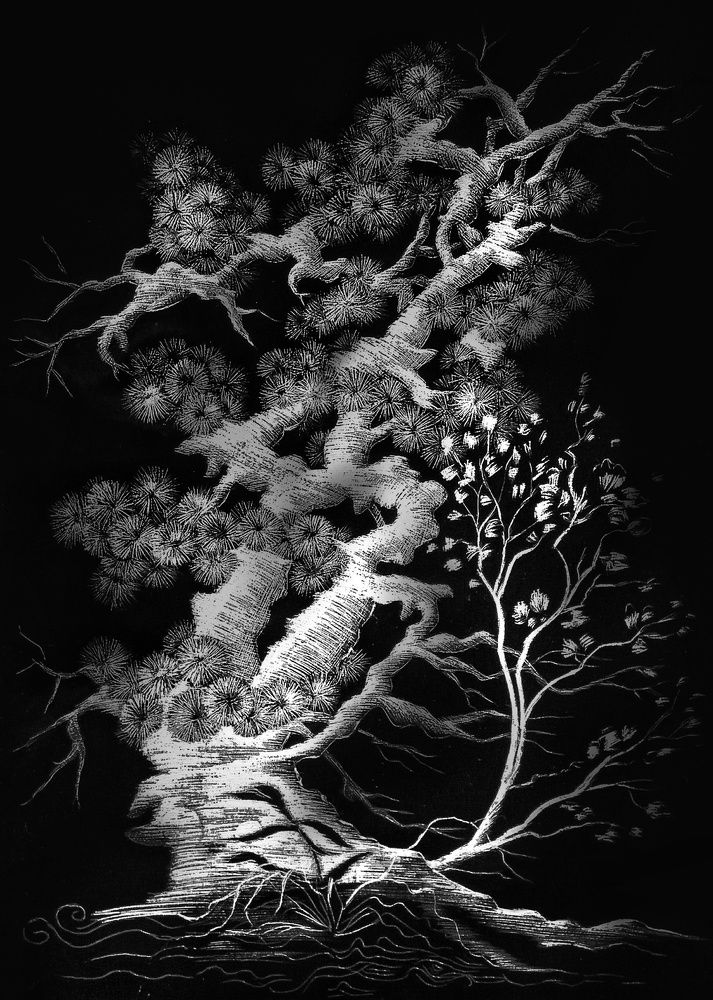 Связь поколений