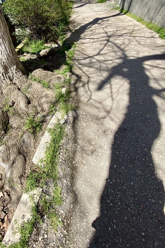 Photograph by Анна Лепихина