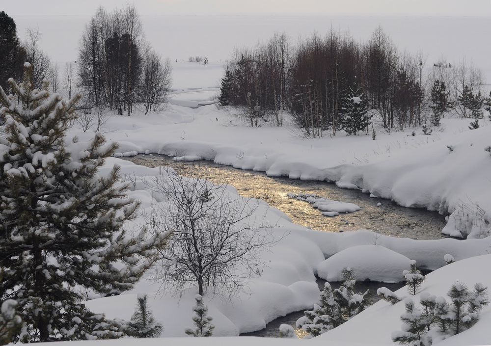 Фотография автора Наталья Белова
