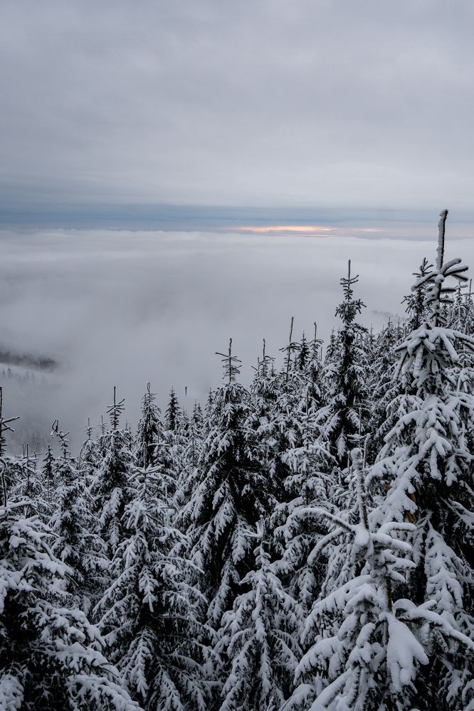 Photograph by Olga Kimerling