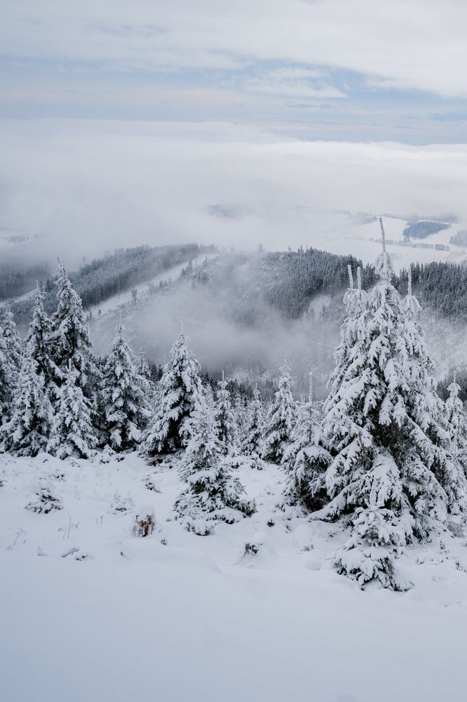 Photograph by Olga Kimerling