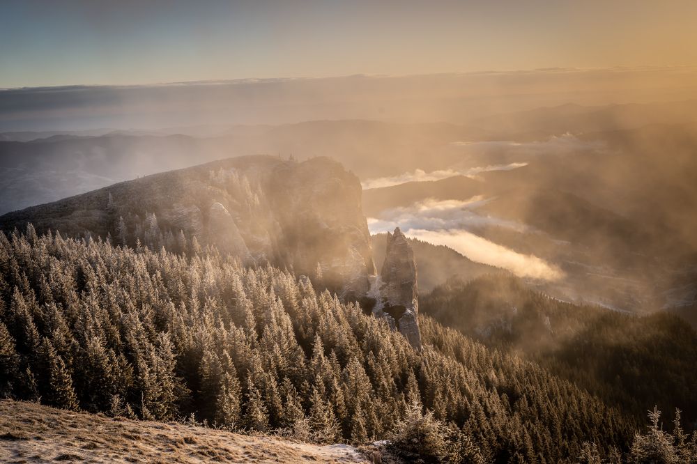 Photograph by Cosma Laura