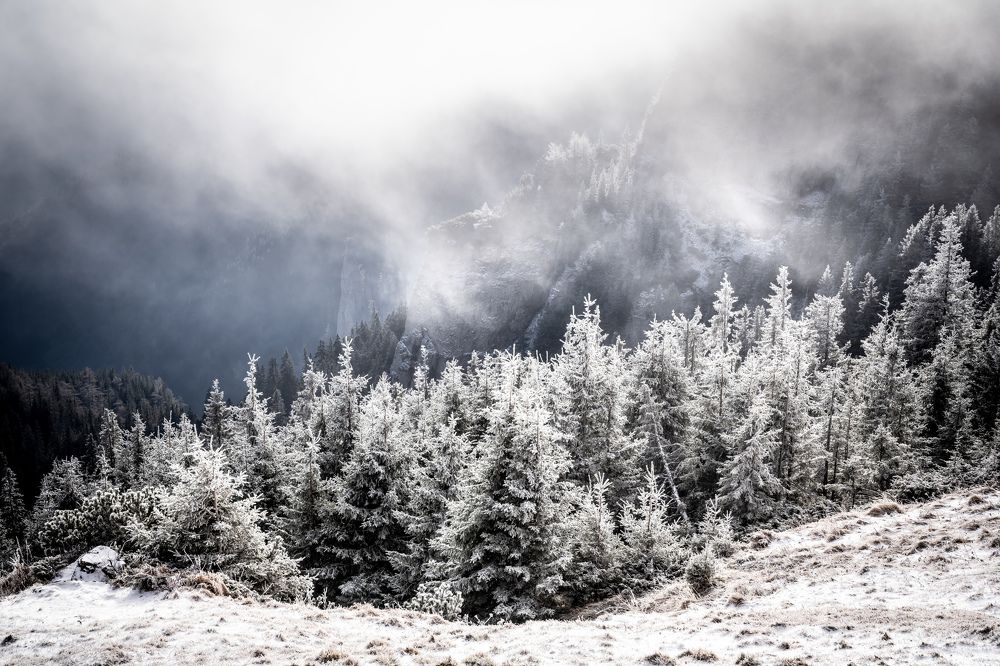 Photograph by Cosma Laura