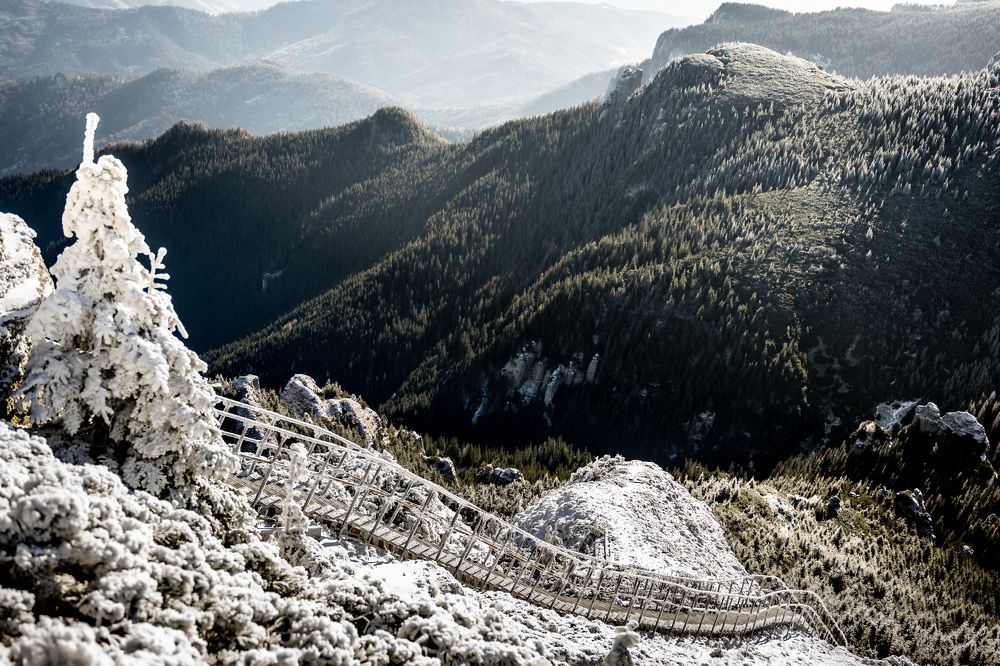 Photograph by Cosma Laura